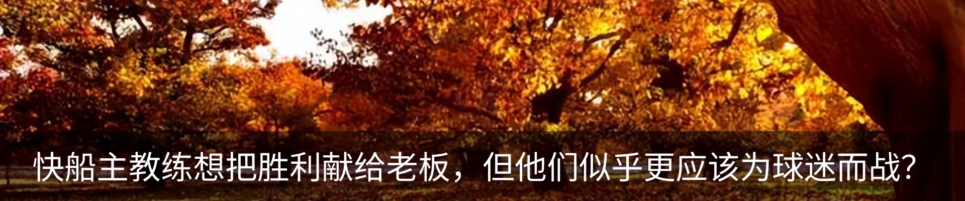 新闻动态