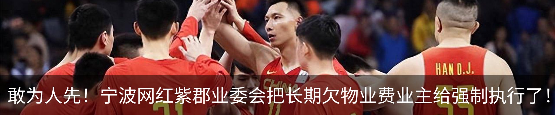 新闻动态
