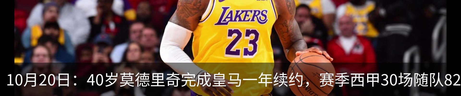 新闻动态