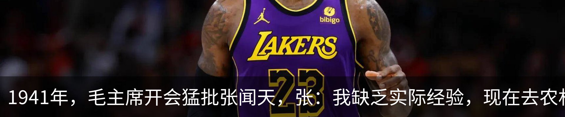 新闻动态