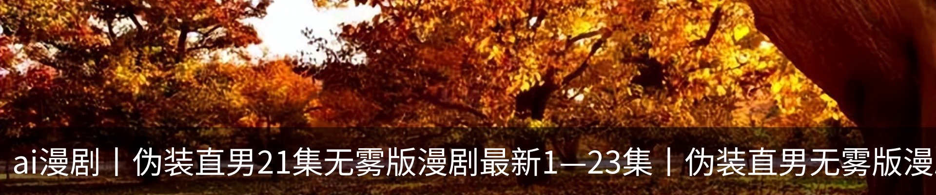 新闻动态